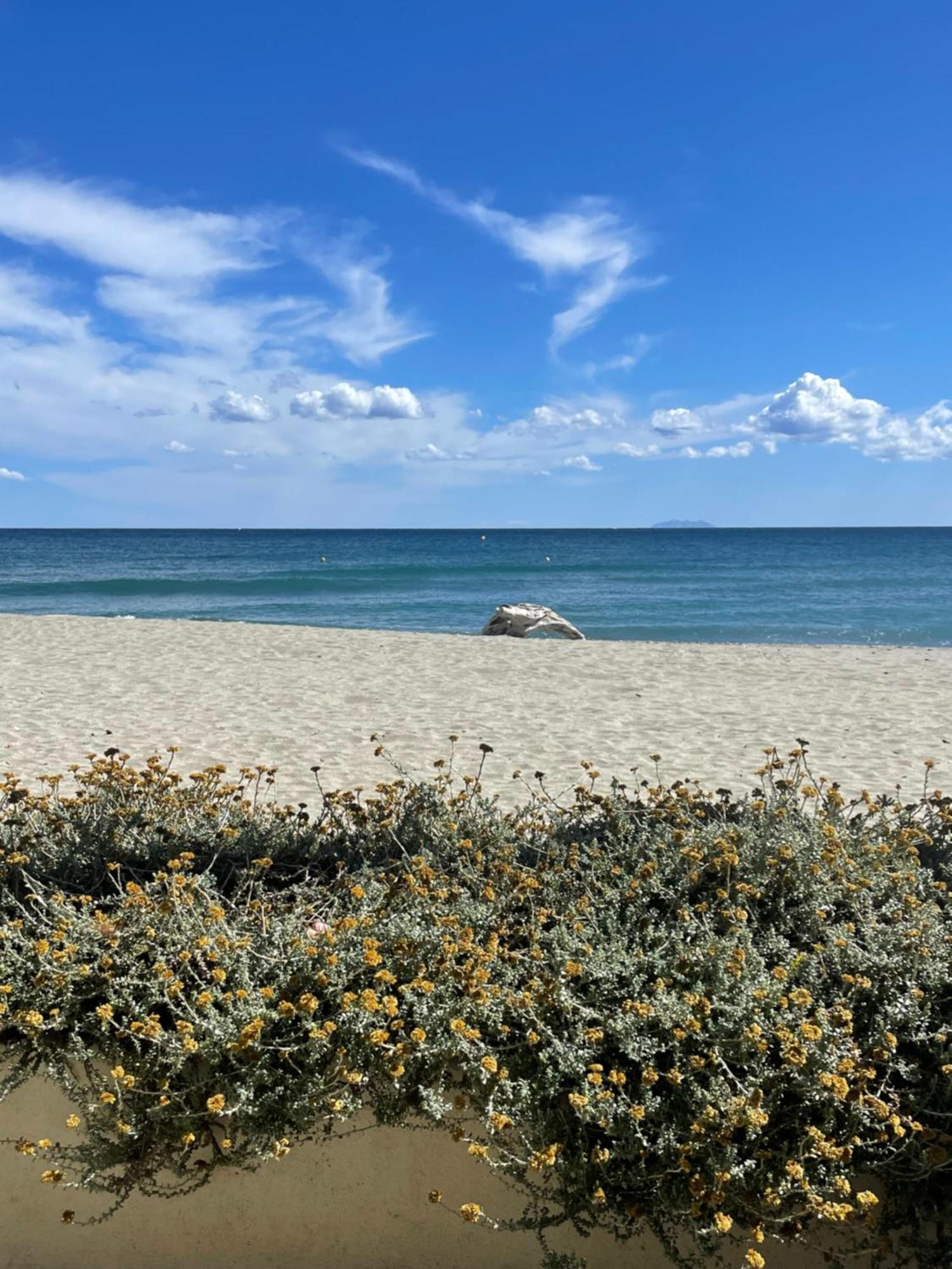 Residence Pascal Paoli Fior Di Mare Moriani Plage Luaran gambar